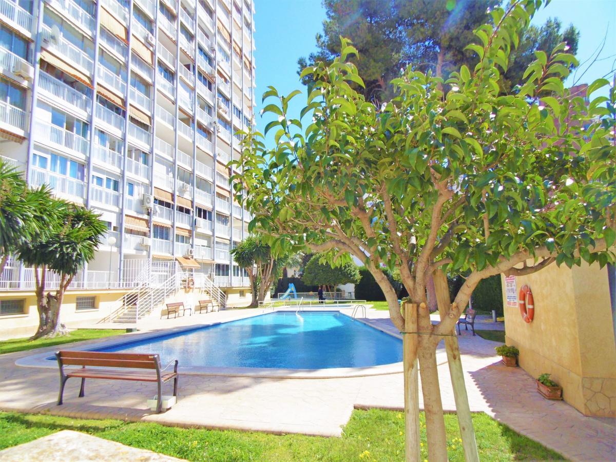 Albatros 13-1 Apartman Benidorm Kültér fotó